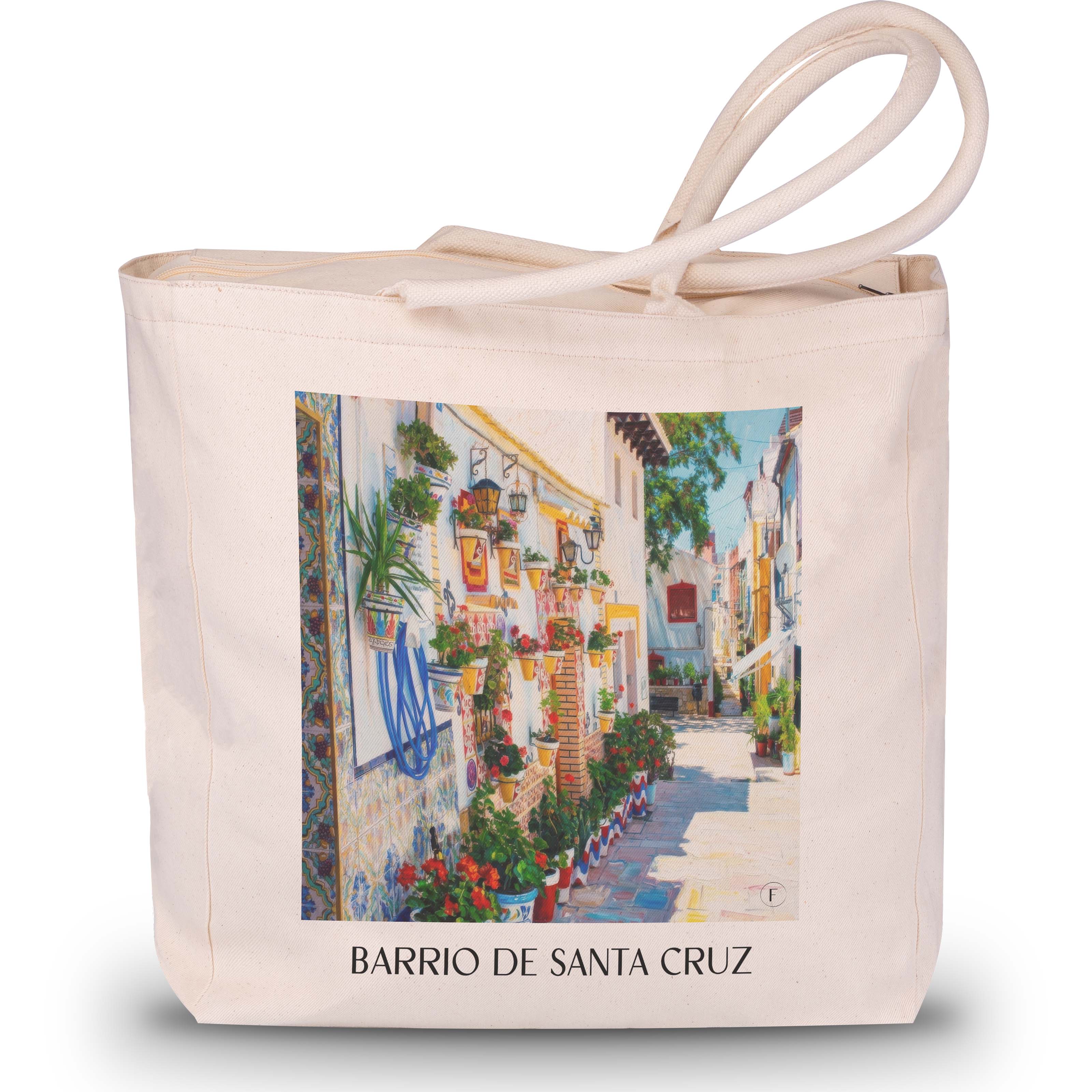 barrio-de-santa-cruz-alicante-spanien-einkaufstasche-oil-painting-oelgemaelde