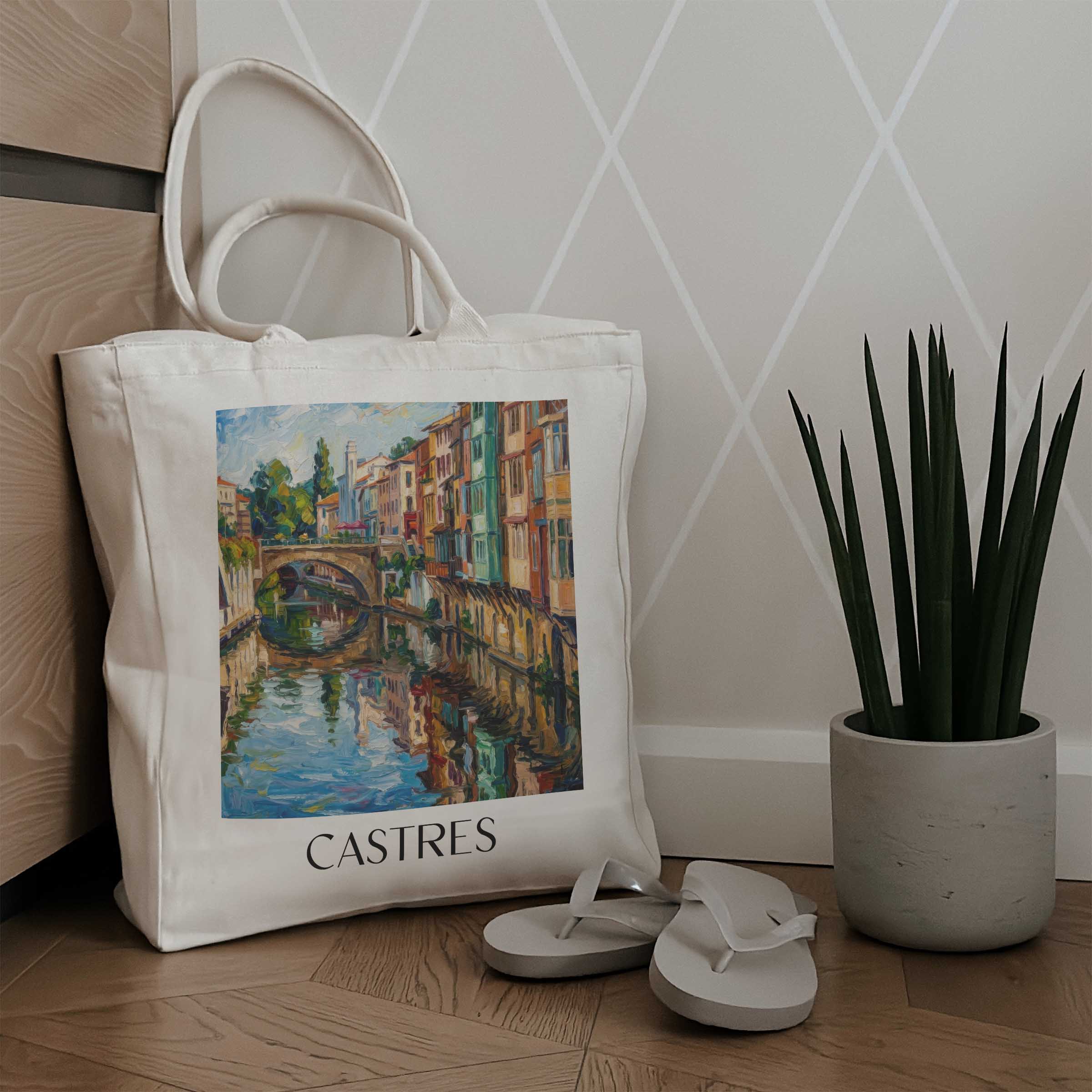 castres--pays-d'autan-frankreich-einkaufstasche-oil-painting-oelgemaelde