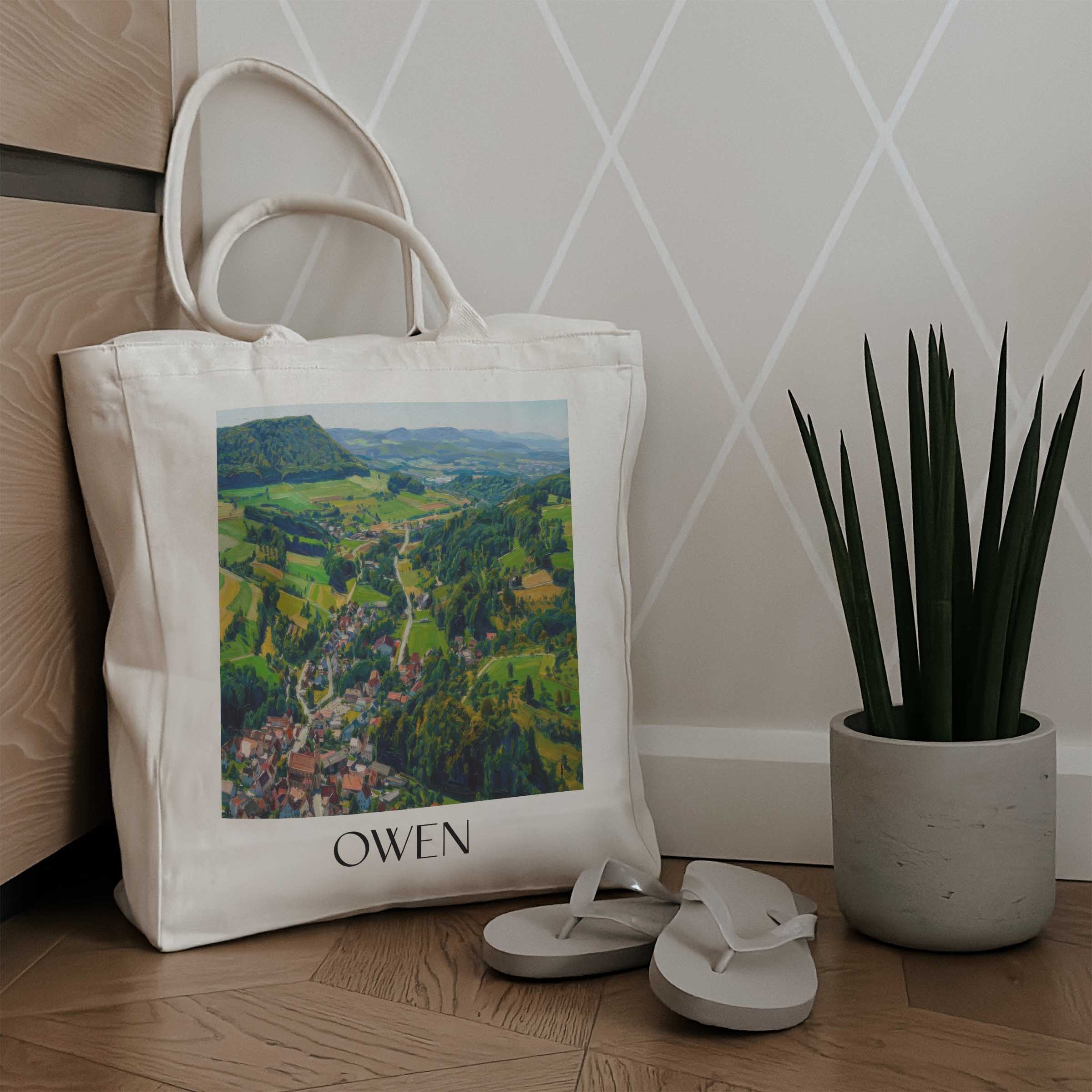 owen-deutschland-einkaufstasche-oil-painting-oelgemaelde