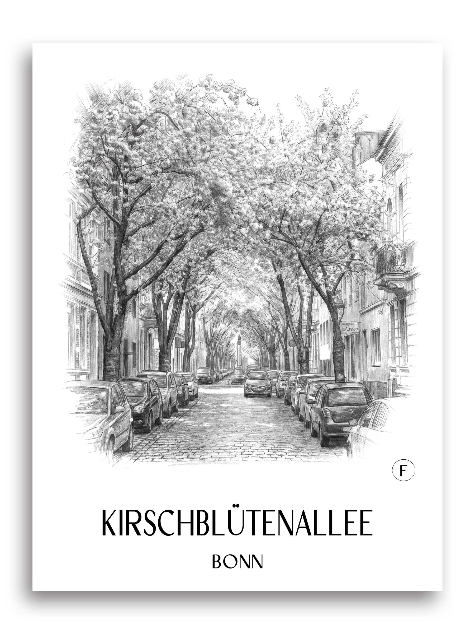 kirschblütenallee-bonn-deutschland-poster-bleistift-zeichnung-drawing