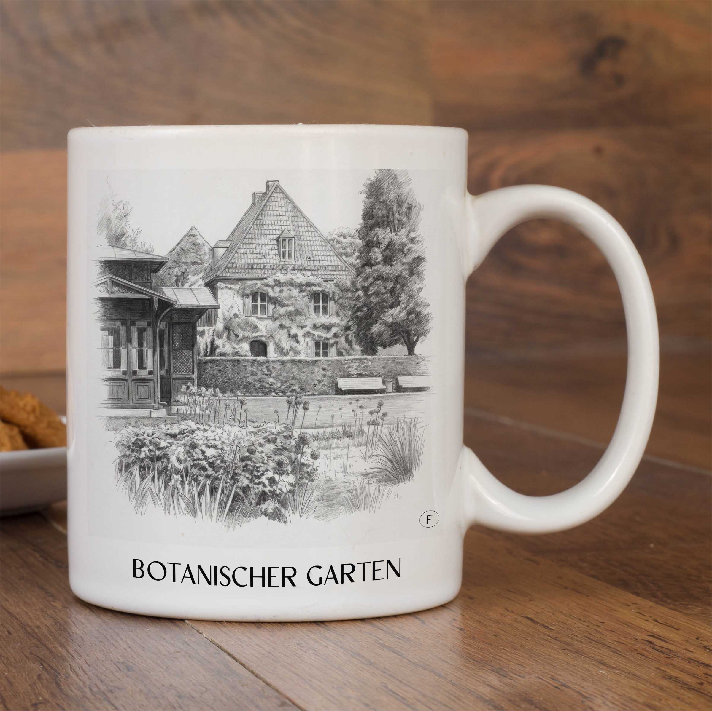 botanischer-garten-augsburg-deutschland-kaffeebecher-bleistift-zeichnung-drawing